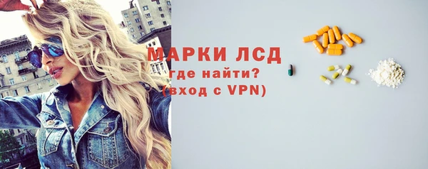 стаф Алзамай