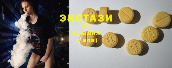 стаф Алзамай