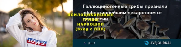 спайс Алексин
