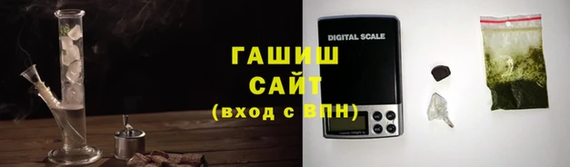 стаф Гусев