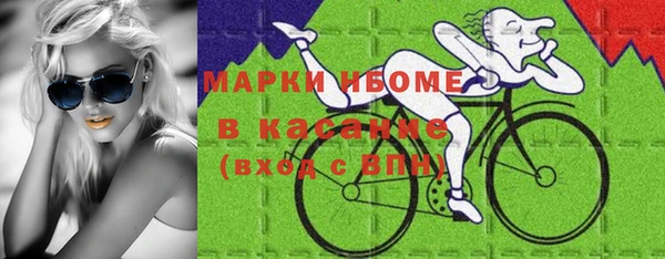 стаф Алзамай