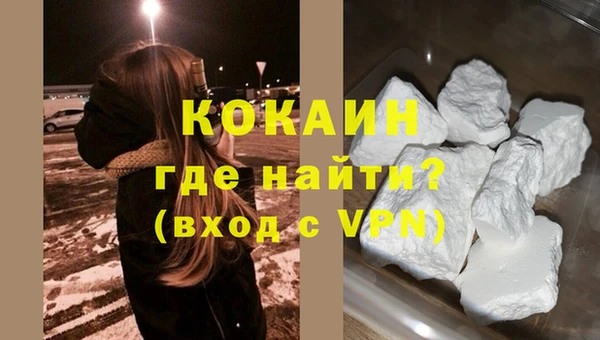 стаф Алзамай