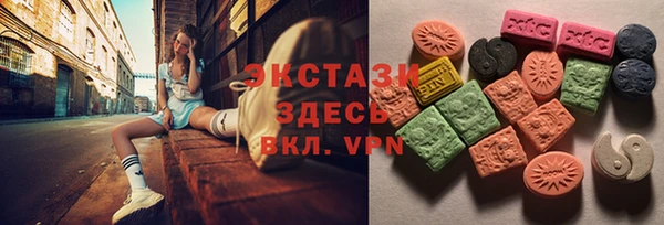 стаф Алзамай