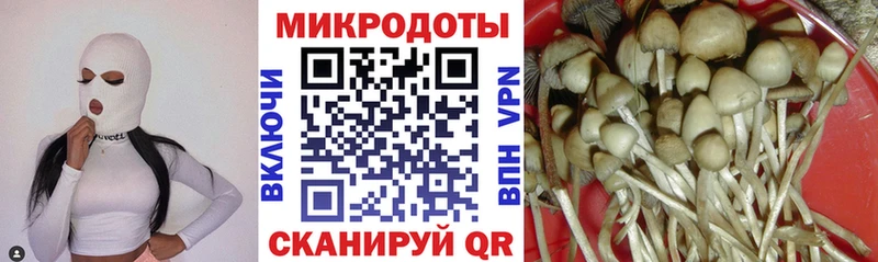 Псилоцибиновые грибы прущие грибы  Люберцы 